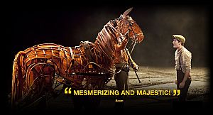War Horse
